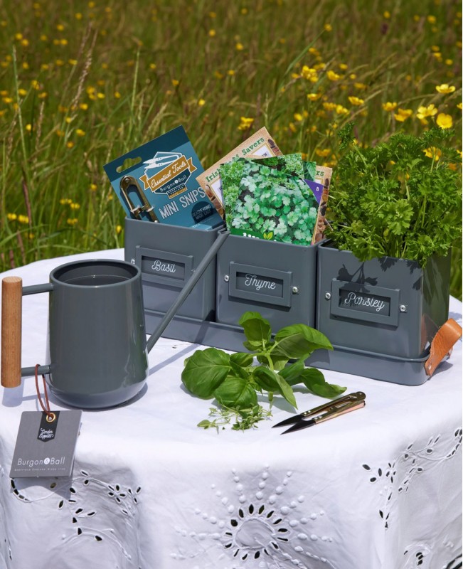 Kitchen Herb Garden Gift Set Kitchen Herb Garden Gift Set